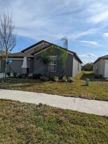 10215 Shady Preserve Dr in Riverview, FL - Foto de edificio - Building Photo