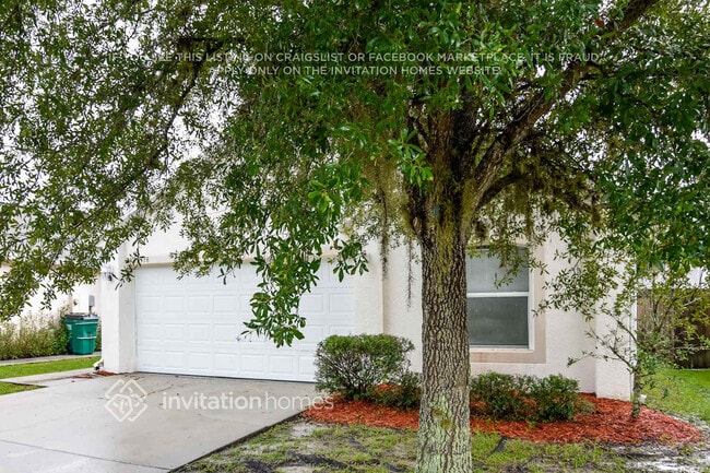30338 Pongo Way in Wesley Chapel, FL - Building Photo - Building Photo