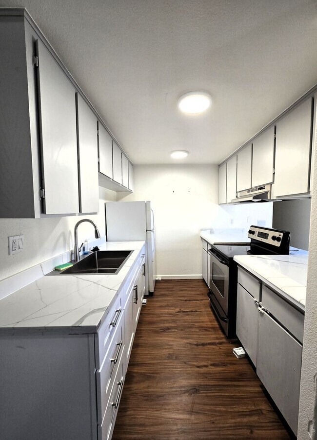 2065 Colt Dr in Stockton, CA - Building Photo - Building Photo