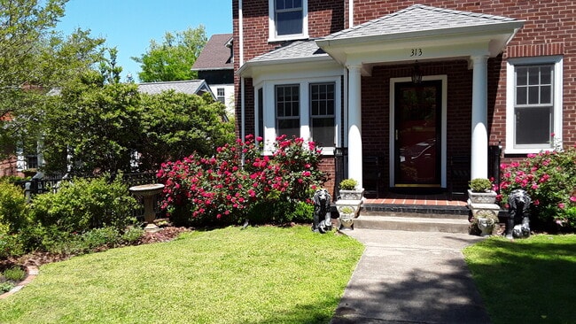 313 Parkway St in Charlottesville, VA - Foto de edificio - Building Photo
