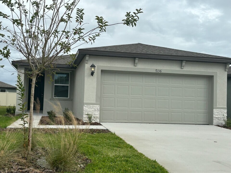 7219 Boggy Crk Pl in Parrish, FL - Building Photo