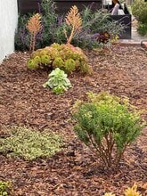 3552 Sierra St, Unit Northeast LA in Los Angeles, CA - Foto de edificio - Building Photo