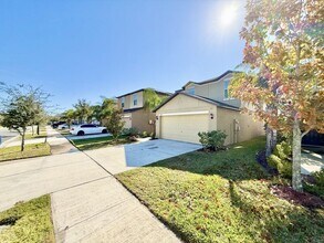 7409 French Marigold Ave. in Tampa, FL - Building Photo - Building Photo