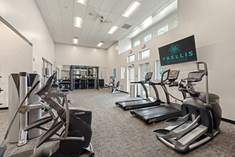 Trellis at the Lakes in St. Petersburg, FL - Building Photo - Building Photo