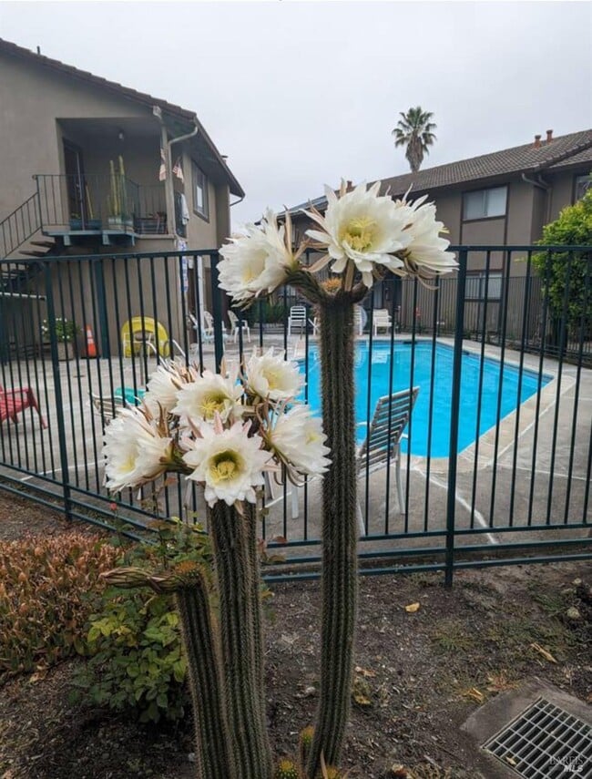 951 Copeland Creek Dr in Rohnert Park, CA - Foto de edificio - Building Photo