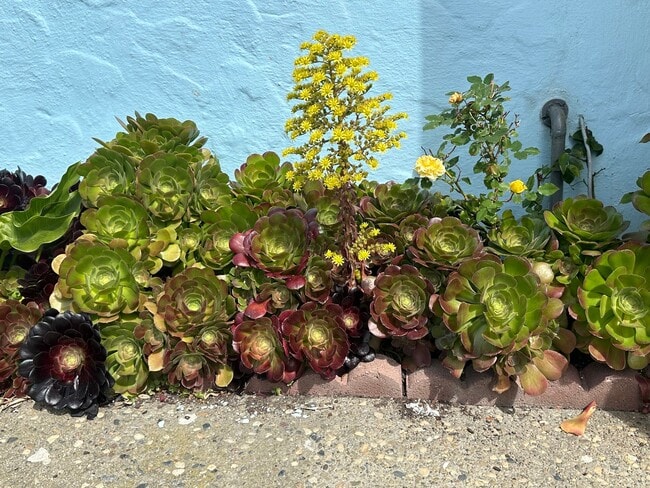 property at 1578 43rd Ave