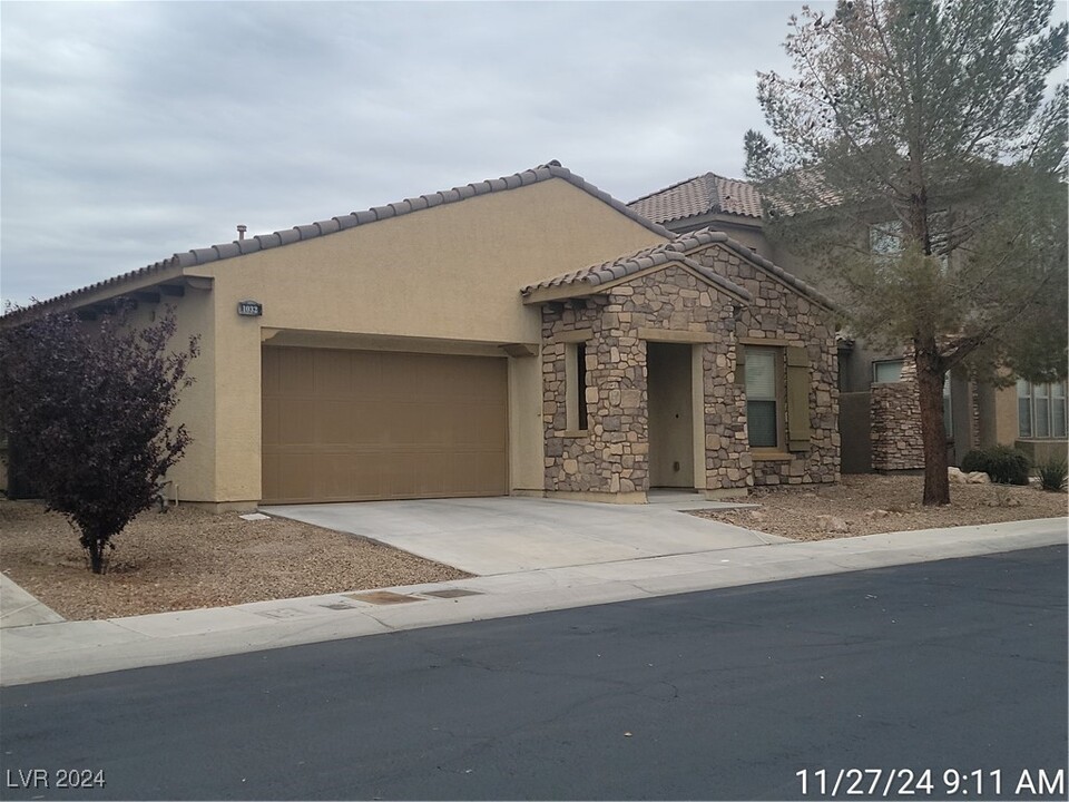 1032 Via Canale Dr in Henderson, NV - Building Photo