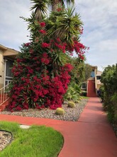 49th St FIVE in San Diego, CA - Building Photo - Interior Photo