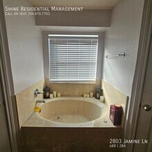 2803 Jasmine Ln in Killeen, TX - Building Photo - Building Photo