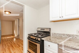211 Lake Shore Rd, Unit 2 in Boston, MA - Foto de edificio - Building Photo
