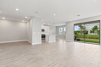 4619 Almada Ln in Wesley Chapel, FL - Building Photo - Building Photo