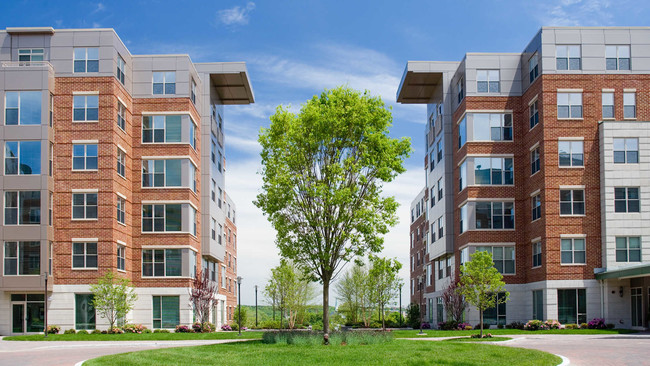 Longview Place in Waltham, MA - Foto de edificio - Building Photo