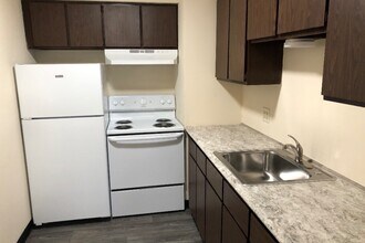 Carroll Street Apartments in Akron, OH - Building Photo - Building Photo