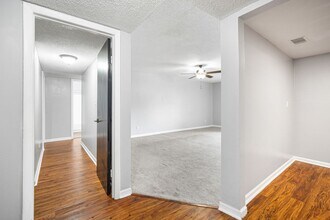 7639 Dolonita Dr in Tampa, FL - Building Photo - Building Photo