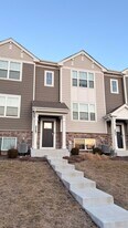 217 Goldenrod Dr in Elgin, IL - Building Photo