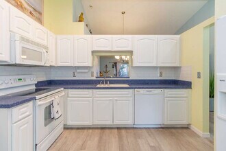 1465 Brier Ct in Palm Harbor, FL - Building Photo - Building Photo