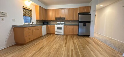 711 W 31st St in Chicago, IL - Building Photo - Building Photo
