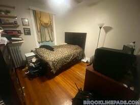 19 Netherlands Rd in Brookline, MA - Building Photo