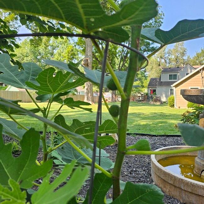 5711 Maywood Ave in Raytown, MO - Foto de edificio - Building Photo