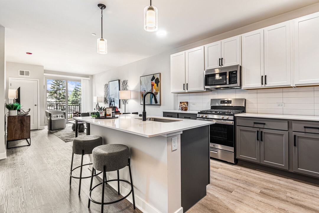 The 250 Residences in Buffalo Grove, IL - Foto de edificio