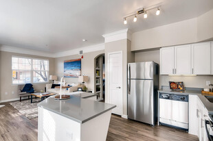 Lowry Park Apartments