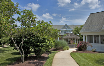 Randolph Village Senior Apartments, 62+ in Silver Spring, MD - Foto de edificio - Building Photo