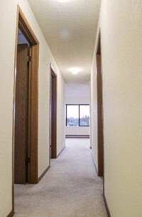 Adria Northstar Apartments in Seattle, WA - Building Photo - Building Photo