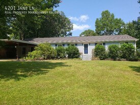 4201 Jane Ln in Raleigh, NC - Building Photo