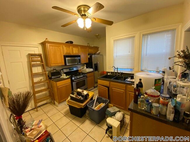 17 Park View St in Boston, MA - Building Photo - Building Photo