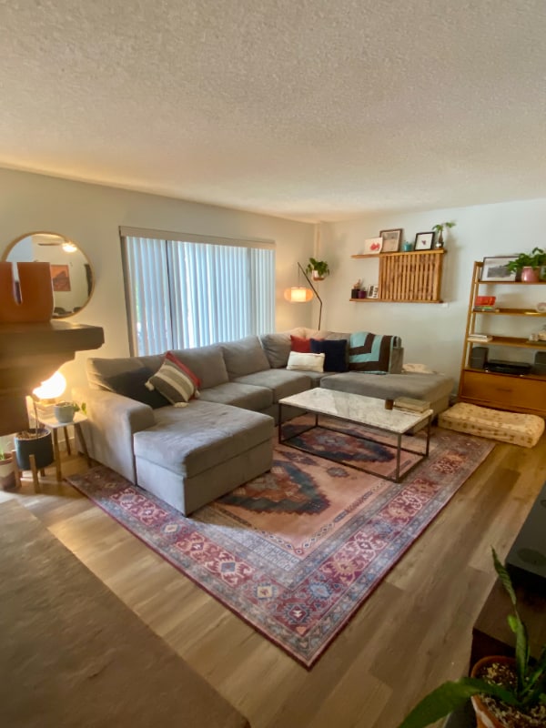 1828 S Ammons St in Lakewood, CO - Building Photo - Building Photo