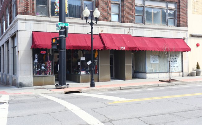 257 Main St in Johnson City, NY - Building Photo - Building Photo