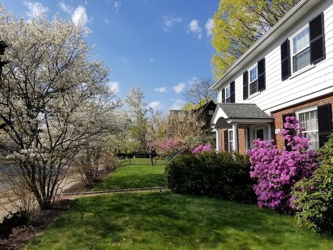 269 Waltham St in Newton, MA - Foto de edificio - Building Photo
