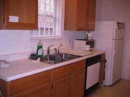 13715 Naomi Hollow Ln in Houston, TX - Building Photo - Building Photo