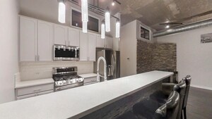 1069 W 14th Pl in Chicago, IL - Building Photo - Building Photo
