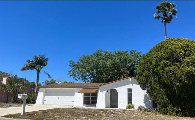 7431 Buchanan Dr in Port Richey, FL - Building Photo - Building Photo