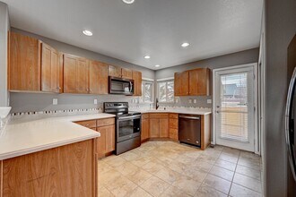 1344 Red Mica Way in Monument, CO - Building Photo - Building Photo