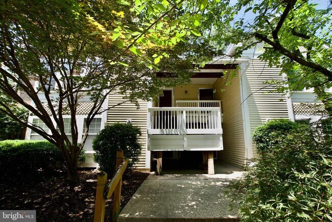 3377 Lakeside View Dr in Falls Church, VA - Foto de edificio - Building Photo