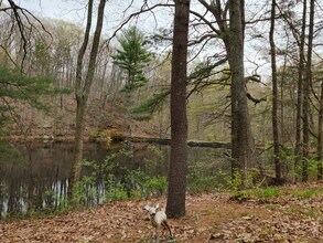 480 Maupas Rd N in Guilford, CT - Building Photo - Building Photo