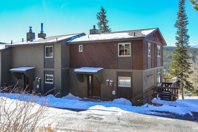 1250 Baldy Rd in Breckenridge, CO - Building Photo - Building Photo