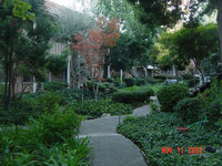 Del Coronado Apartments photo'