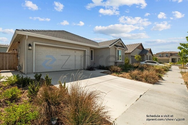 1074 Osprey Dr in Lathrop, CA - Building Photo - Building Photo