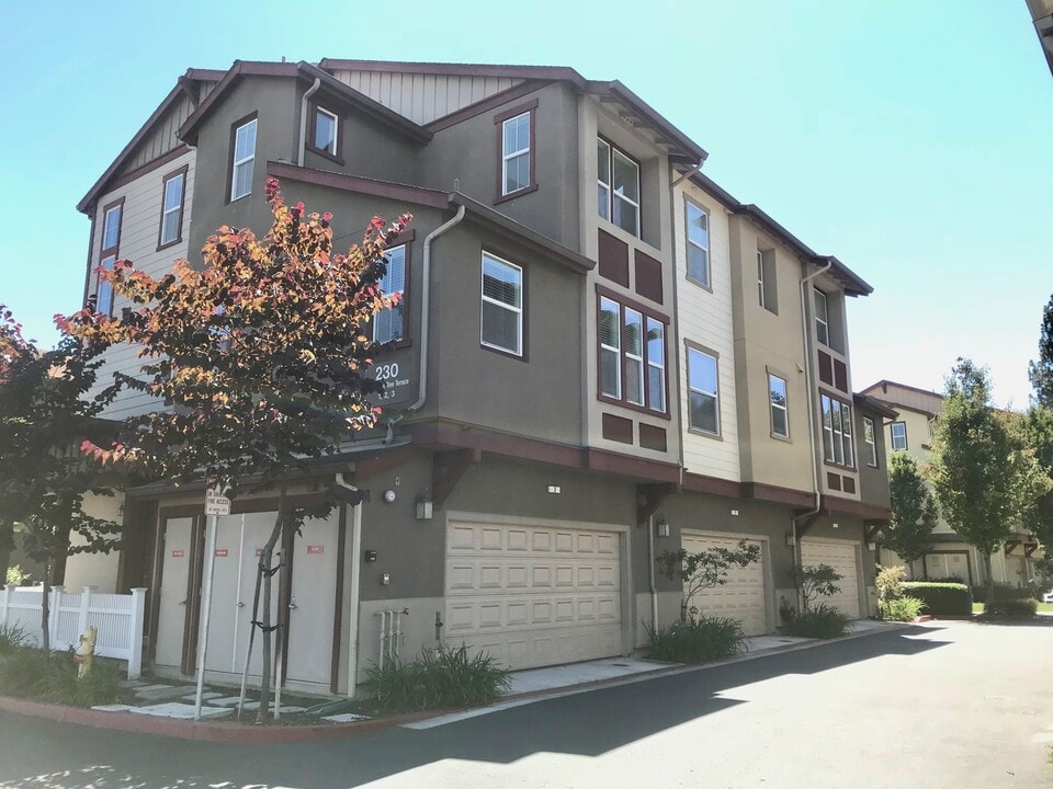 230 Peppermint Tree Terrace in Sunnyvale, CA - Building Photo