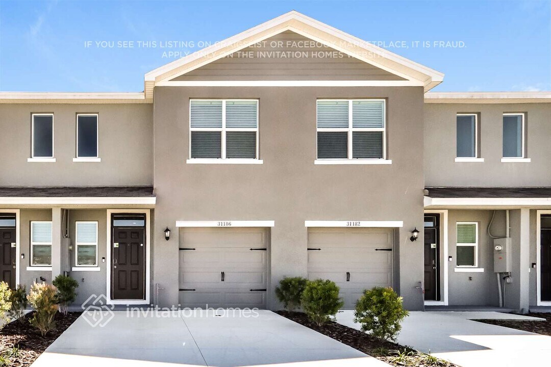 31186 Striped Maple Ln in Wesley Chapel, FL - Building Photo