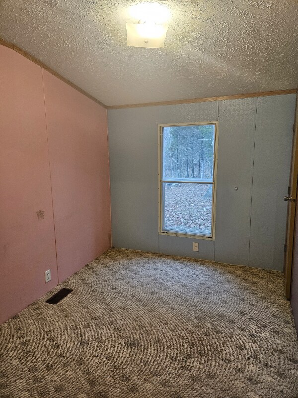 910 Roach Rd in Webster, KY - Building Photo - Building Photo