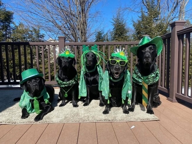 property at 3695 Clay Pond Rd