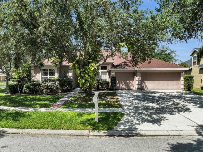 18108 Sugar Brooke Dr in Tampa, FL - Building Photo - Building Photo