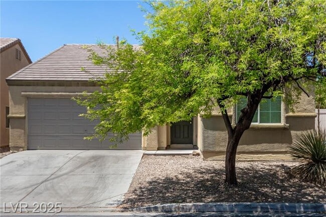 property at 3357 Sheep Canyon St