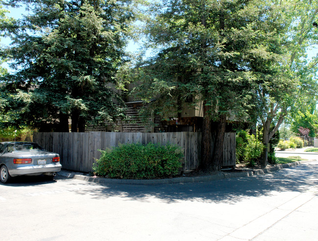 Bicentenial Apartments in Santa Rosa, CA - Building Photo - Building Photo