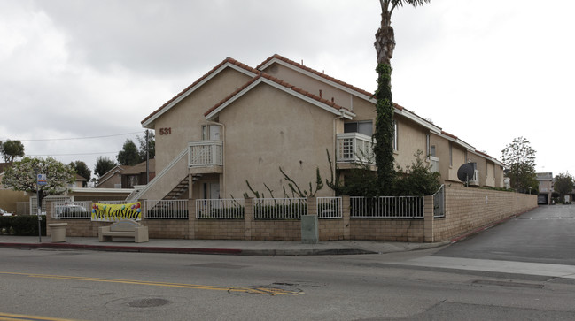 531 Wilson St in Costa Mesa, CA - Building Photo - Building Photo