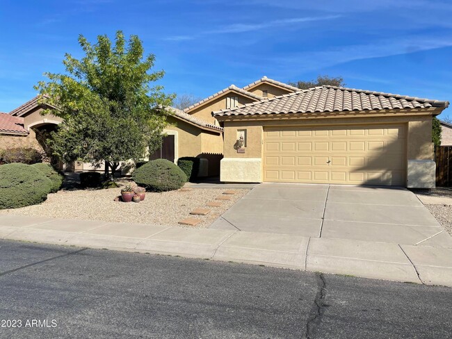 244 W Goldfinch Way in Chandler, AZ - Foto de edificio - Building Photo